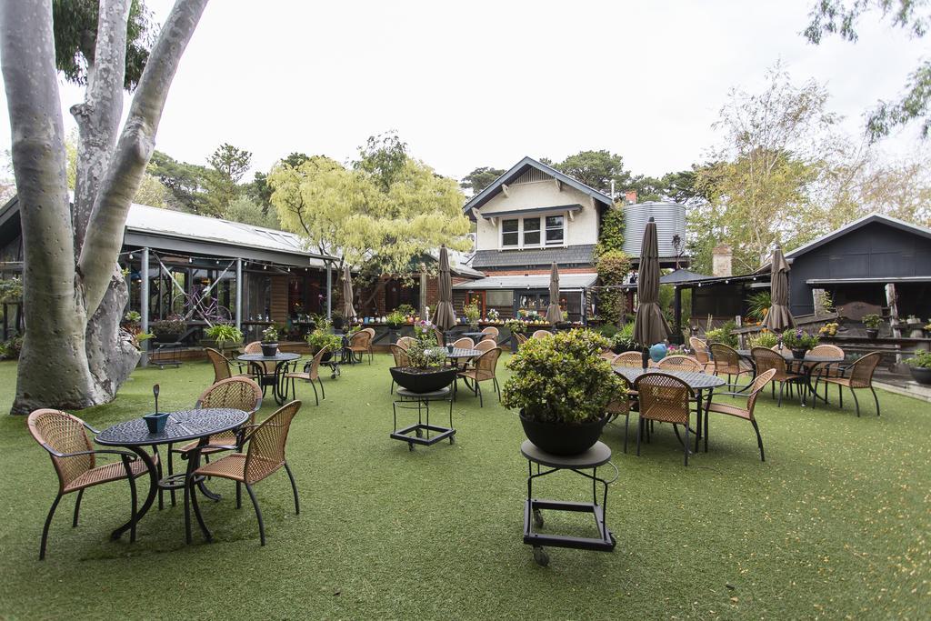 Oakdene Vineyards Guesthouse Wallington Exteriör bild